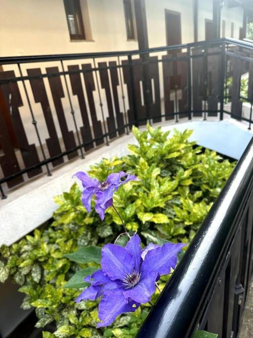 Spacious Fully Furnished Studio In Kavarna Apart Hotel Kültér fotó